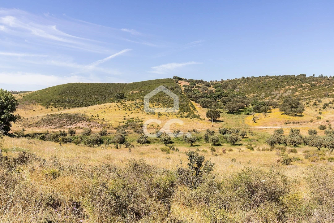 Terreno para Venda em Terena (São Pedro) Foto 19