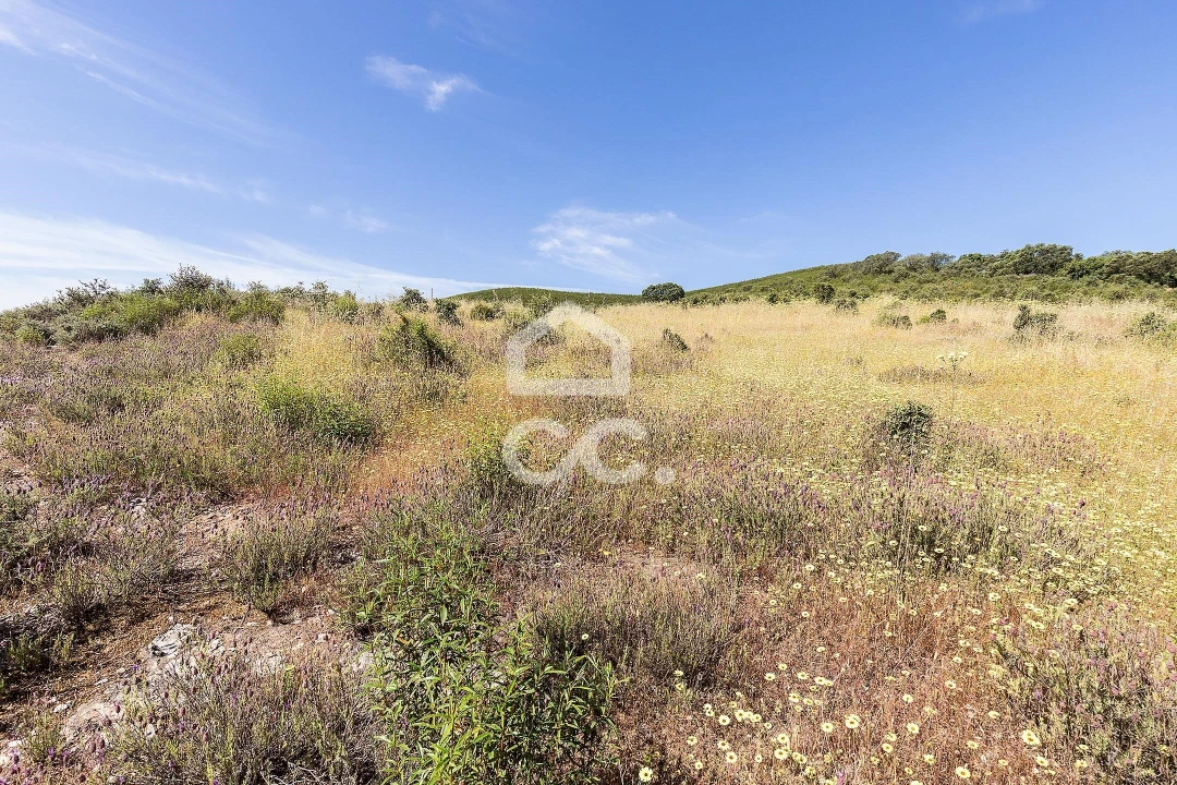 Terreno para Venda em Terena (São Pedro) Foto 10