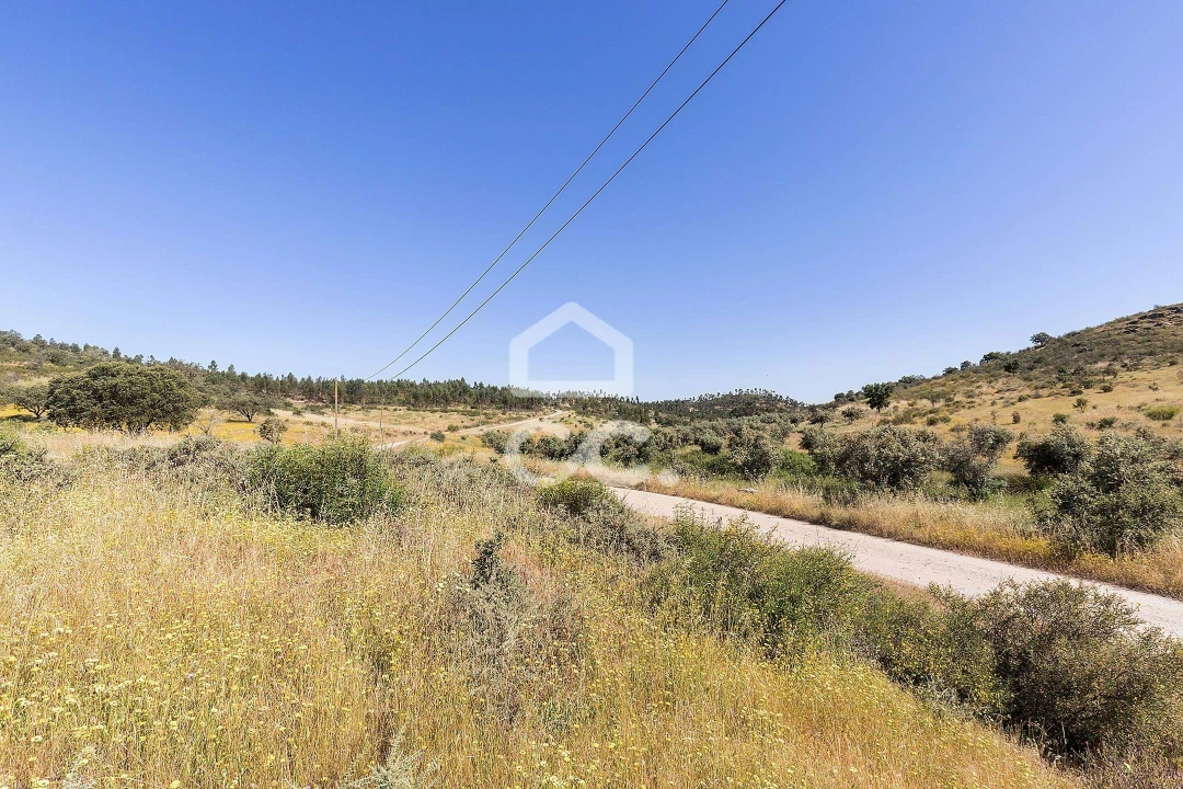 Terreno para Venda em Terena (São Pedro) Foto 11