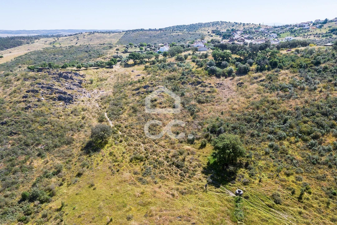 Terreno para Venda em Terena (São Pedro) Foto 27