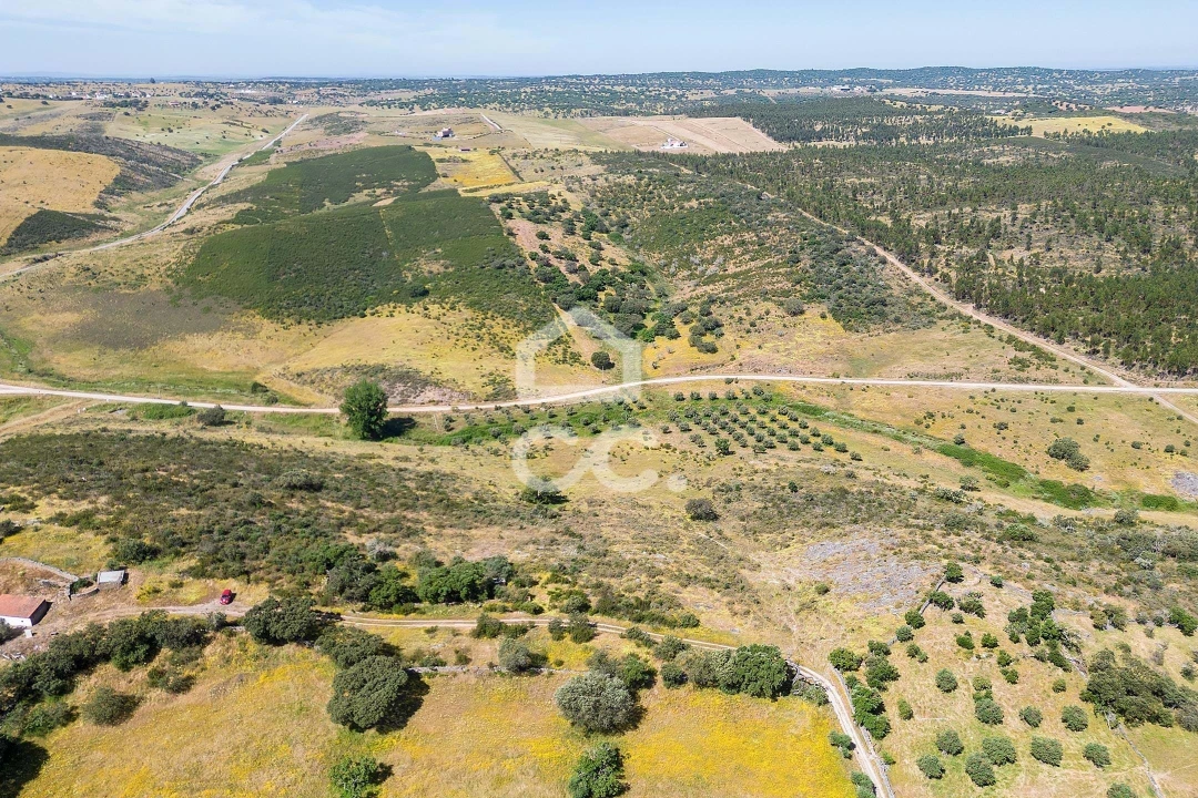Terreno para Venda em Terena (São Pedro) Foto 29