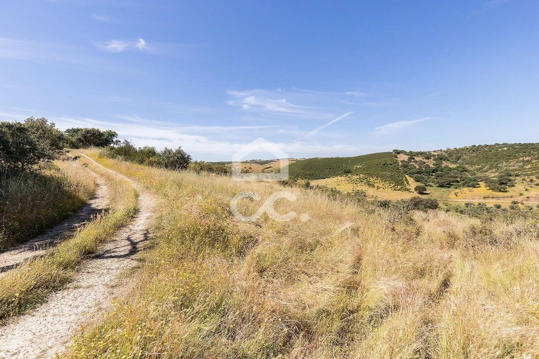 Terreno para Venda em Terena (São Pedro) Foto 16