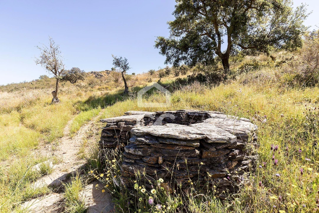 Terreno para Venda em Terena (São Pedro) Foto 21