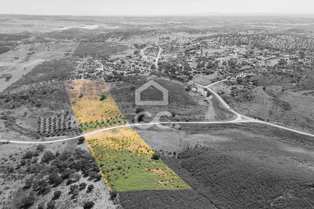 Terreno para Venda em Terena (São Pedro) Foto 2