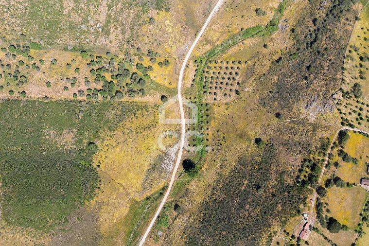 Terreno para Venda em Terena (São Pedro) Foto 38