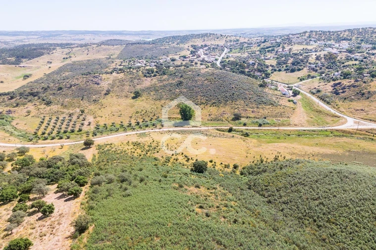 Terreno para Venda em Terena (São Pedro) Foto 4