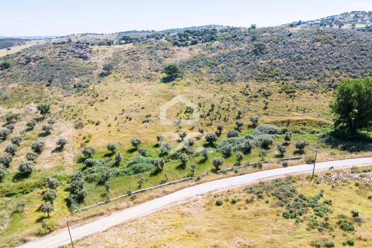 Terreno para Venda em Terena (São Pedro) Foto 3