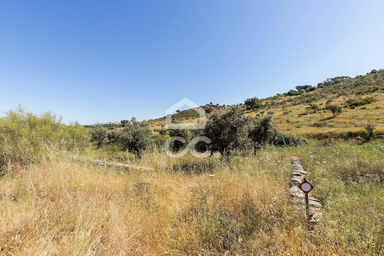 Terreno para Venda em Terena (São Pedro) Foto 8