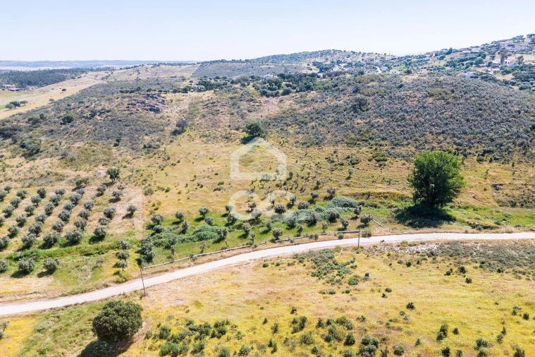 Terreno para Venda em Terena (São Pedro) Foto 24