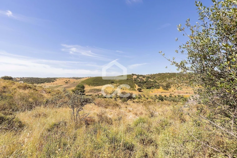 Terreno para Venda em Terena (São Pedro) Foto 18