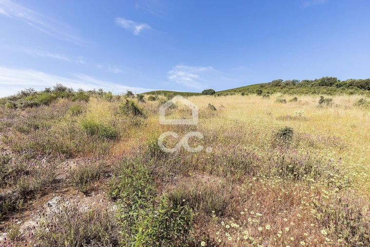 Terreno para Venda em Terena (São Pedro) Foto 10