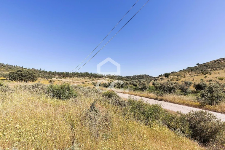 Terreno para Venda em Terena (São Pedro) Foto 11