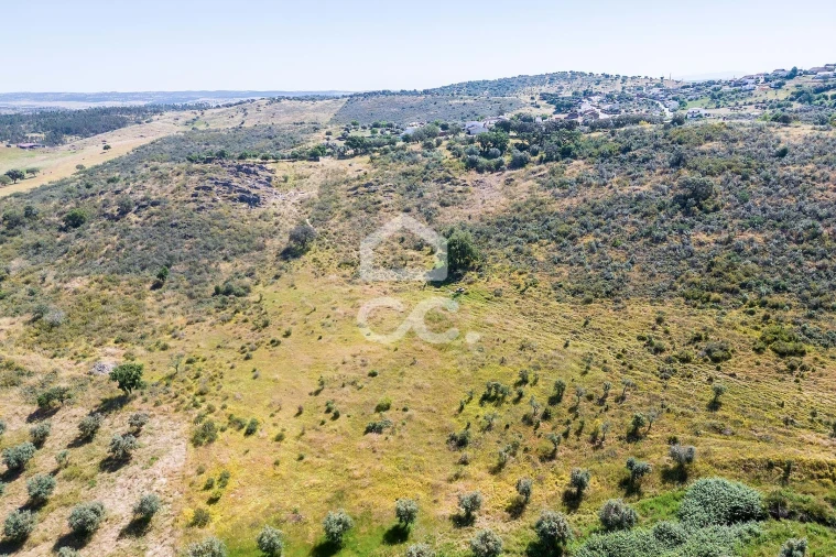 Terreno para Venda em Terena (São Pedro) Foto 25