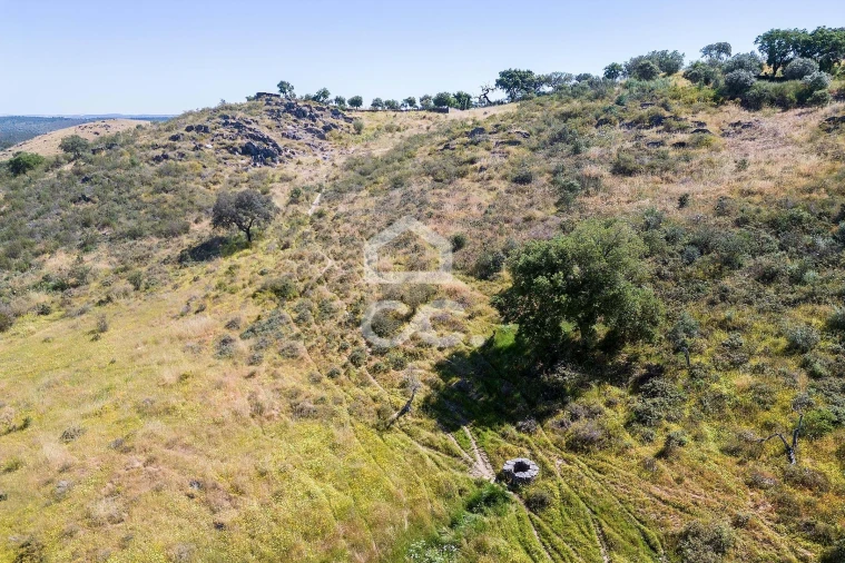 Terreno para Venda em Terena (São Pedro) Foto 26