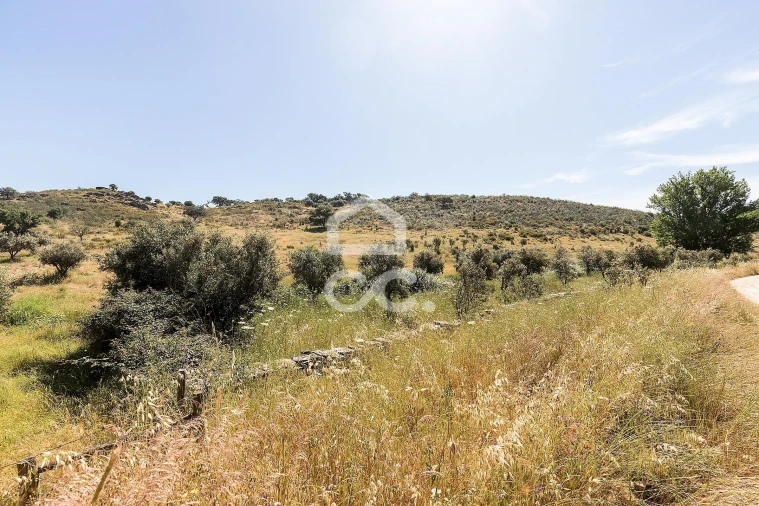 Terreno para Venda em Terena (São Pedro) Foto 14