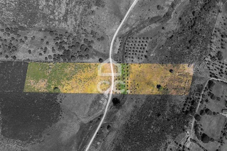 Terreno para Venda em Terena (São Pedro) Foto 5