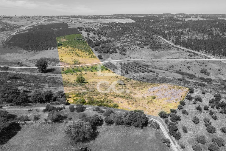 Terreno para Venda em Terena (São Pedro) Foto 32