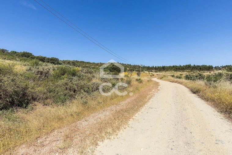Terreno para Venda em Terena (São Pedro) Foto 6