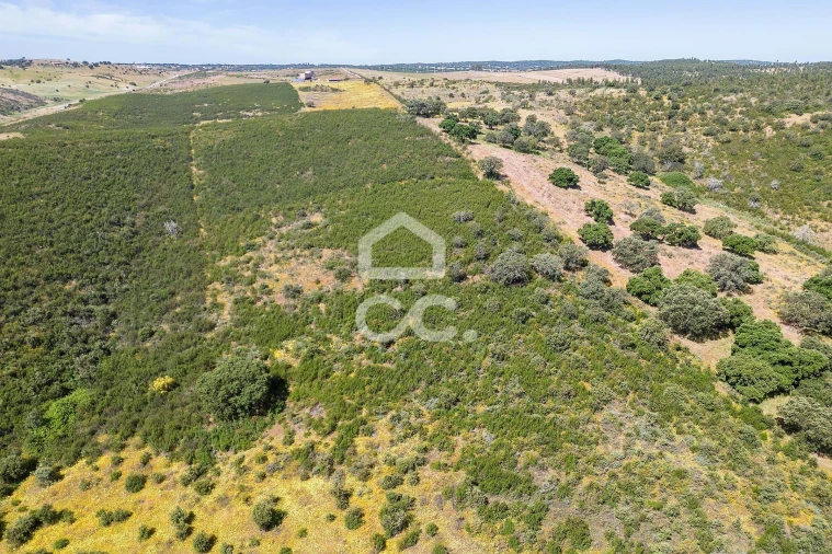 Terreno para Venda em Terena (São Pedro) Foto 36