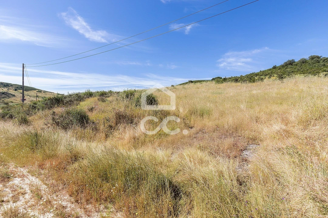 Terreno para Venda em Terena (São Pedro) Foto 12