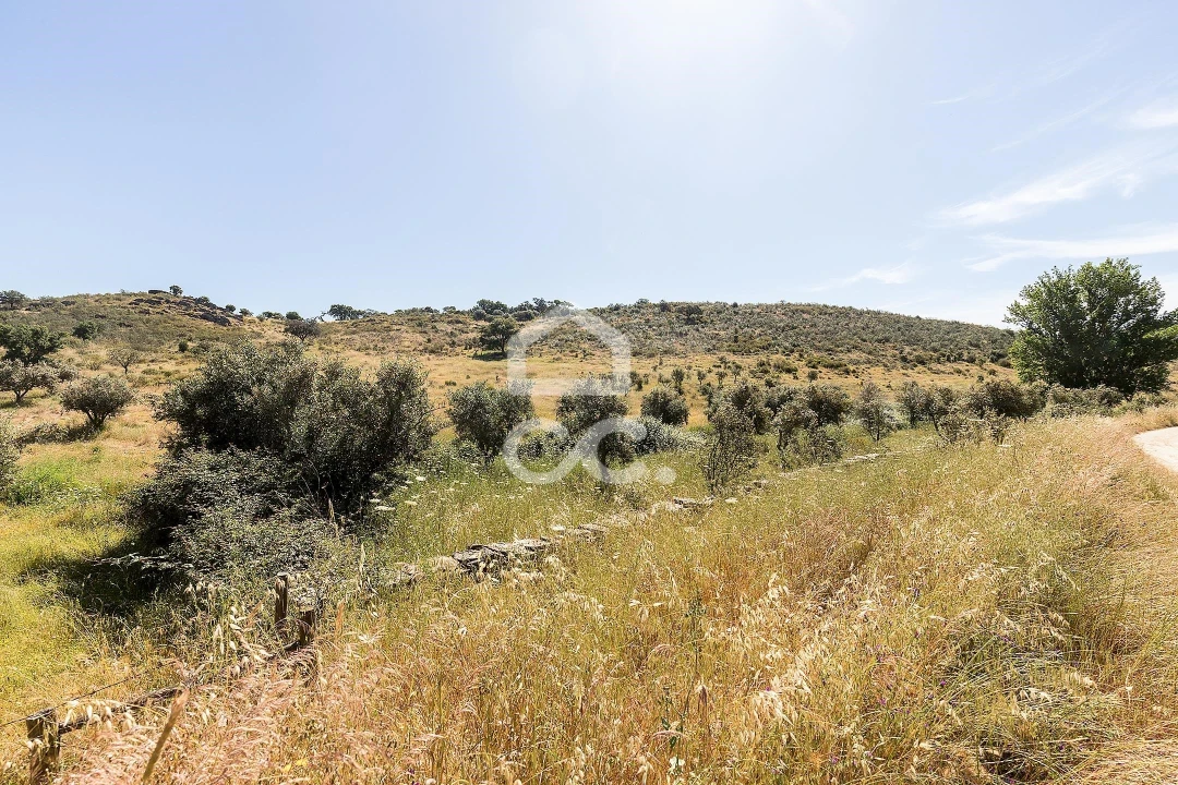 Terreno para Venda em Terena (São Pedro) Foto 14