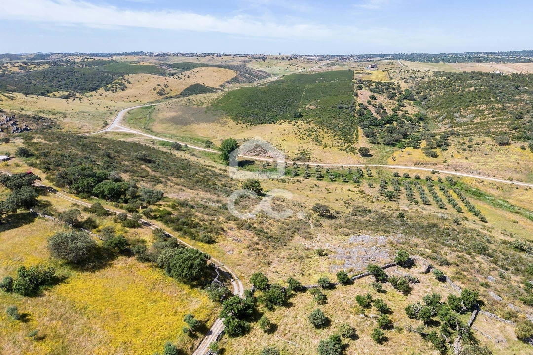 Terreno para Venda em Terena (São Pedro) Foto 30