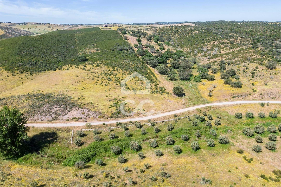 Terreno para Venda em Terena (São Pedro) Foto 34
