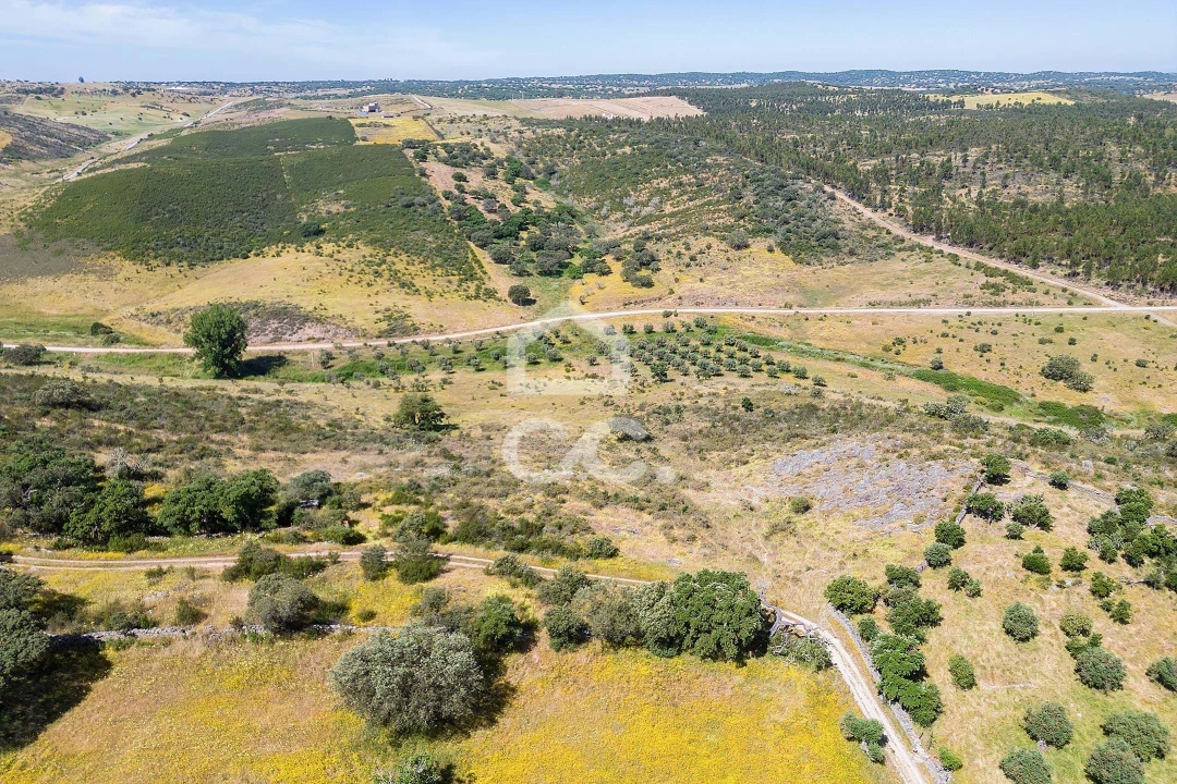 Terreno para Venda em Terena (São Pedro) Foto 31