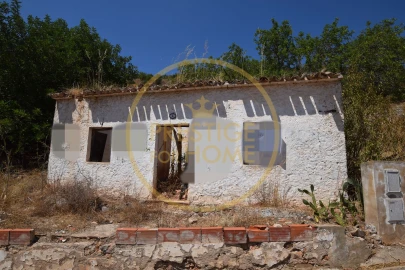 Terreno para Venda em Alte