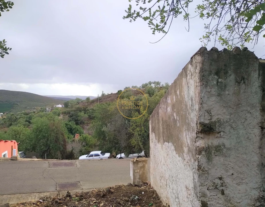 Terreno para Venda em Alte Foto 3