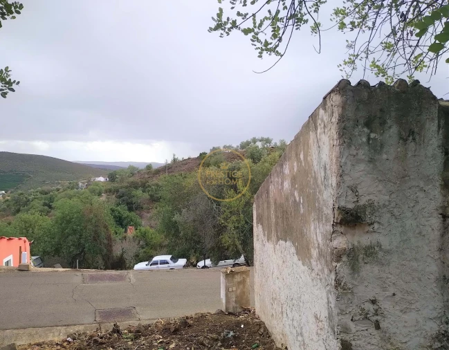 Terreno para Venda em Alte Foto 3