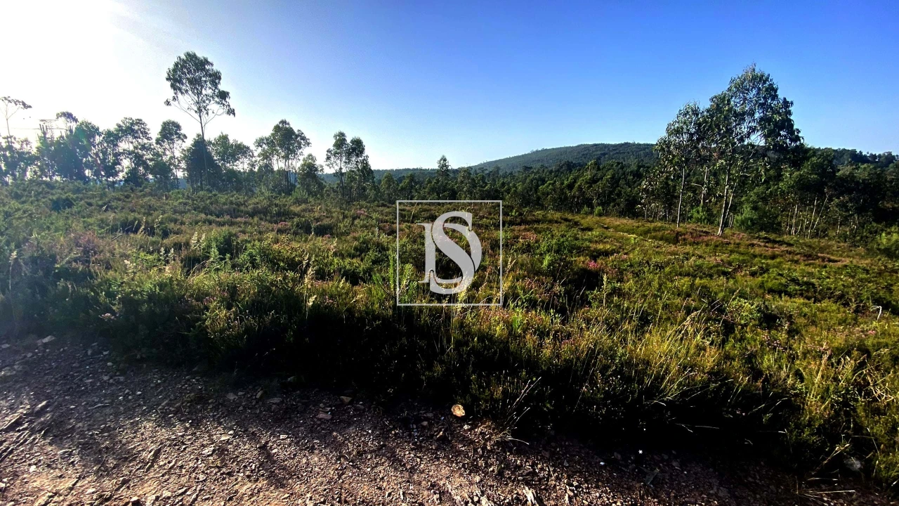 Terreno para Venda em Lamelas e Guimarei Foto 4