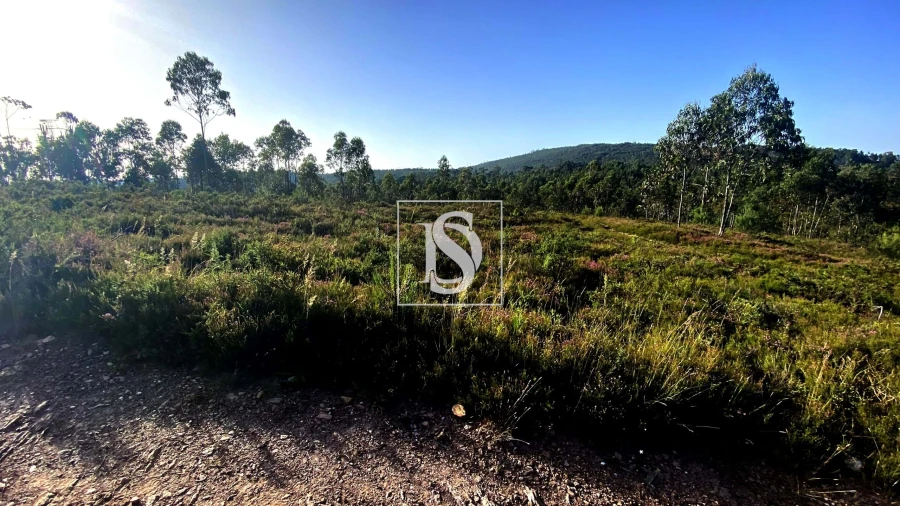 Terreno para Venda em Lamelas e Guimarei Foto 4