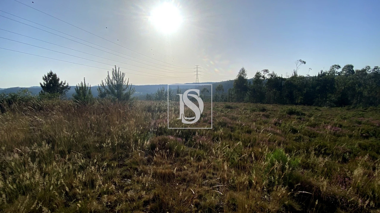 Terreno para Venda em Lamelas e Guimarei Foto 2