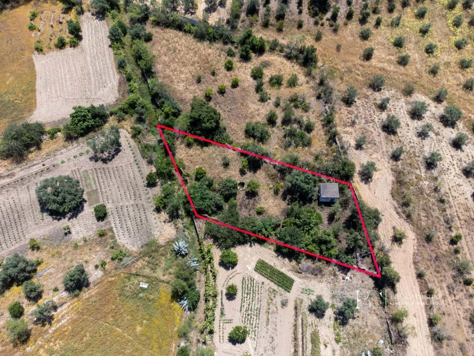 Moradia T2 para Venda em Alcoutim e Pereiro Foto 22