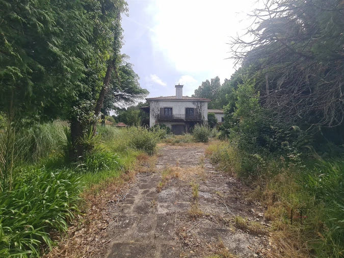 Moradia T5 para Venda em São Paio de Oleiros Foto 29