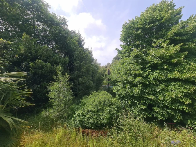 Moradia T5 para Venda em São Paio de Oleiros Foto 25