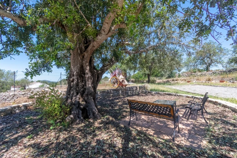 Moradia T4 para Venda em São Brás de Alportel Foto 28