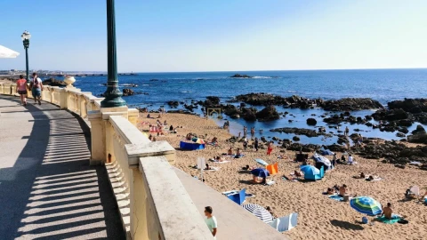 Apartamento T1 para Venda em Aldoar, Foz do Douro e Nevogilde