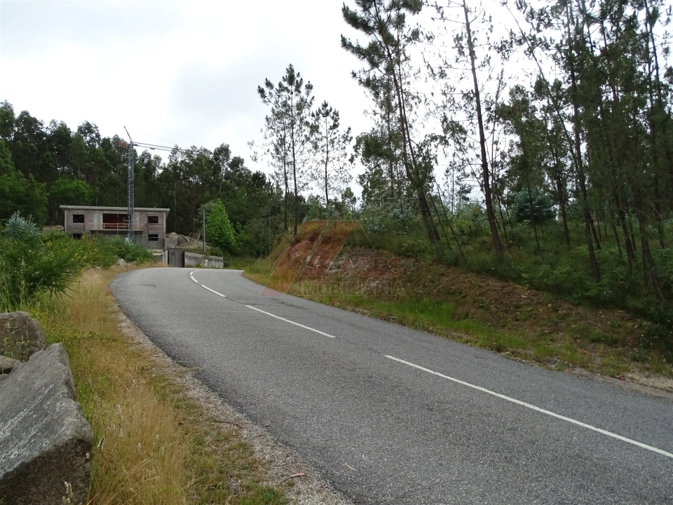 Terreno Agricola ou Rústico para Venda em Silvares (São Martinho) Foto 1