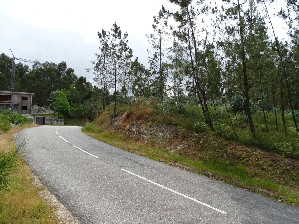 Terreno Agricola ou Rústico para Venda em Silvares (São Martinho) Foto 16