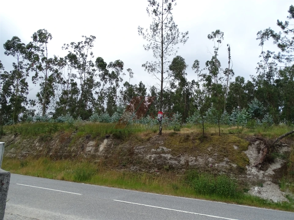 Terreno Agricola ou Rústico para Venda em Silvares (São Martinho) Foto 14