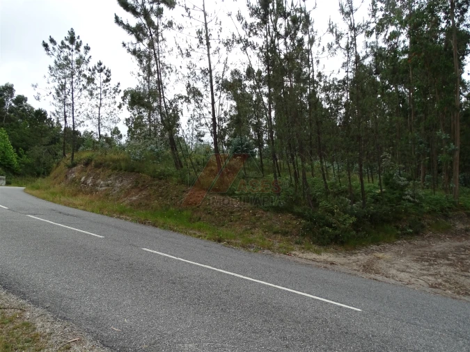 Terreno Agricola ou Rústico para Venda em Silvares (São Martinho) Foto 20