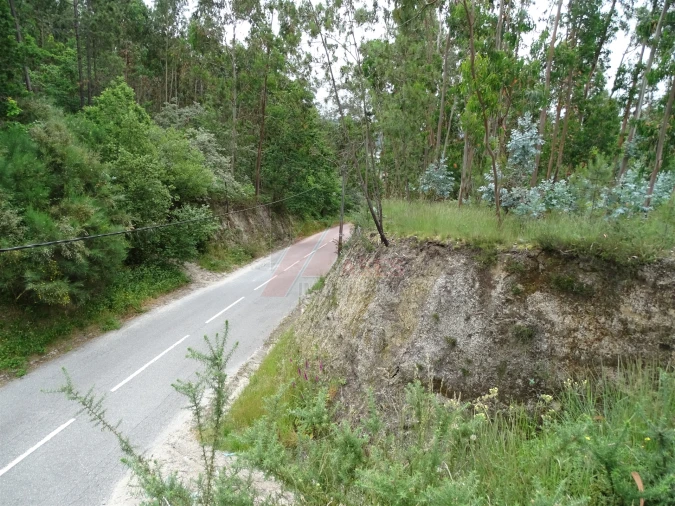 Terreno Agricola ou Rústico para Venda em Silvares (São Martinho) Foto 9