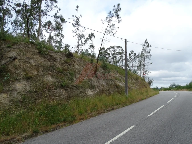 Terreno Agricola ou Rústico para Venda em Silvares (São Martinho) Foto 12