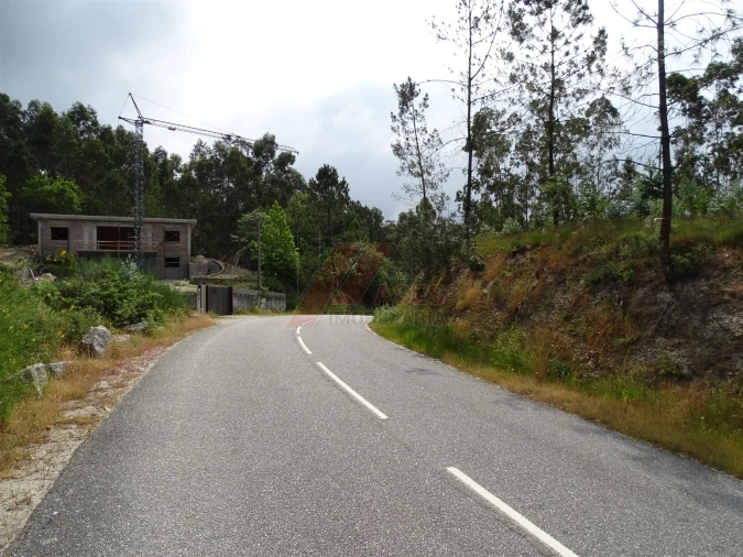 Terreno Agricola ou Rústico para Venda em Silvares (São Martinho) Foto 19