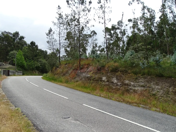 Terreno Agricola ou Rústico para Venda em Silvares (São Martinho) Foto 17
