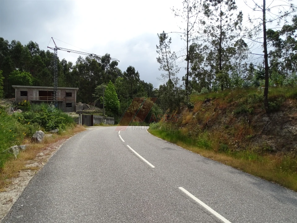 Terreno Agricola ou Rústico para Venda em Silvares (São Martinho) Foto 19