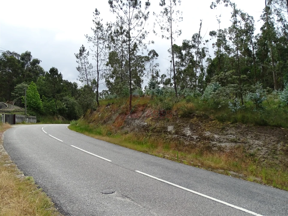 Terreno Agricola ou Rústico para Venda em Silvares (São Martinho) Foto 17