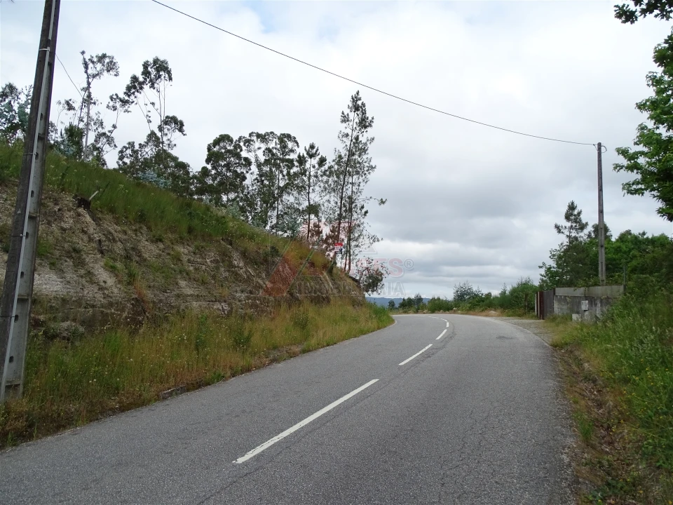 Terreno Agricola ou Rústico para Venda em Silvares (São Martinho) Foto 13